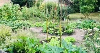 Le potager Le potager