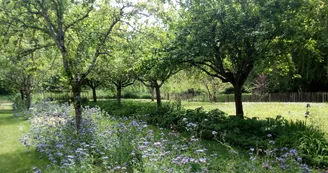 jardin du gite au jardin de grand-pere jardin du gite au jardin de grand-pere