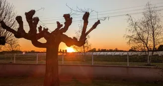 coucher de soleil