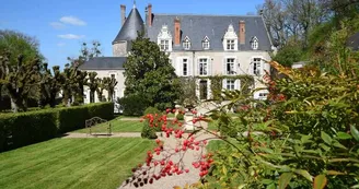 CHATEAU COTE COUR light CHATEAU COTE COUR light