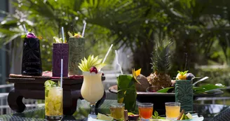 Bar_Jardins_de_beauval Bar_Jardins_de_beauval