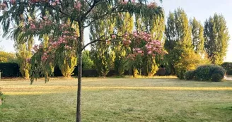 Jardin Jardin