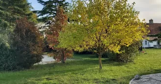 Jardin Jardin