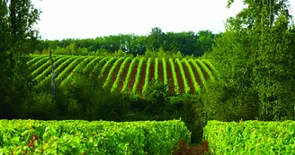 domaine_de_la_renaudie domaine_de_la_renaudie