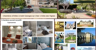 Présentation l'Orée des Vignes Présentation l'Orée des Vignes