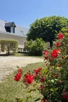 Les Roseaux_1