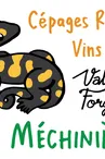 web-logo-VF
