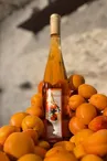 2024_Distillerie Girardot_Produits