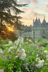 Château vu du Parc historique®E. Sander