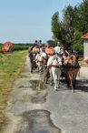 (1)balade-equestre-attelage-plaisir-feings