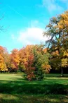 Parc Edouard André - La Croix en Touraine