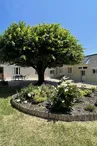 Le grand gite des roseaux_1