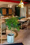 SALLE RESTAURANT