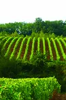 domaine_de_la_renaudie